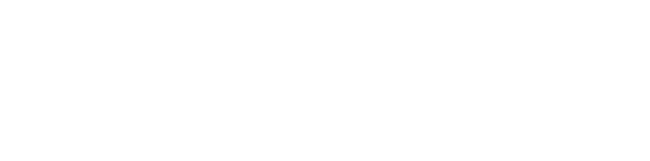 secmotic_concepto_web_logo_white