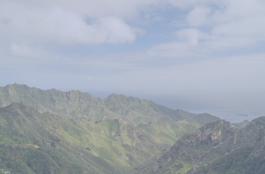 Tenerife Gaitero