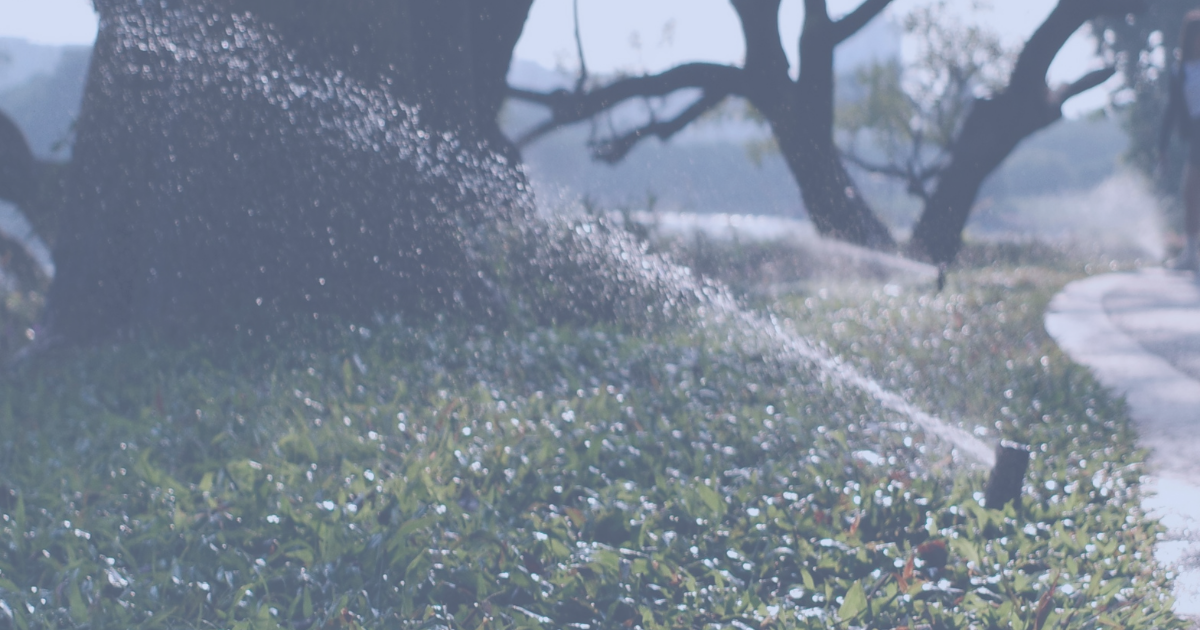 Osuna Riego Inteligente