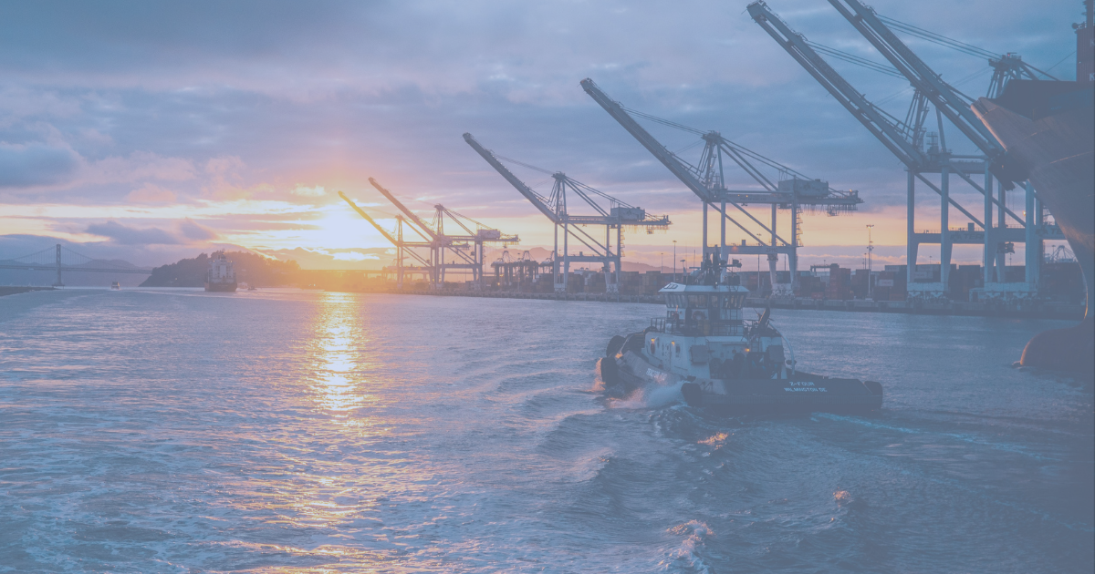 Babor monitorización activos