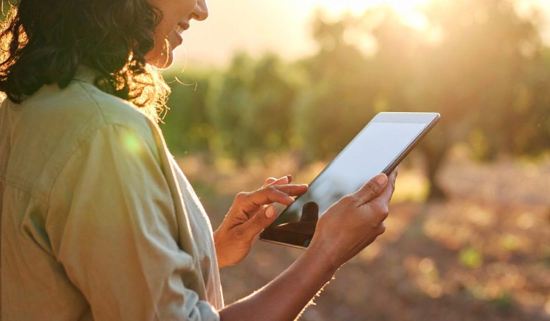 plataforma digital OliveValue