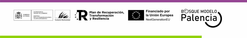 digitalización medio rural